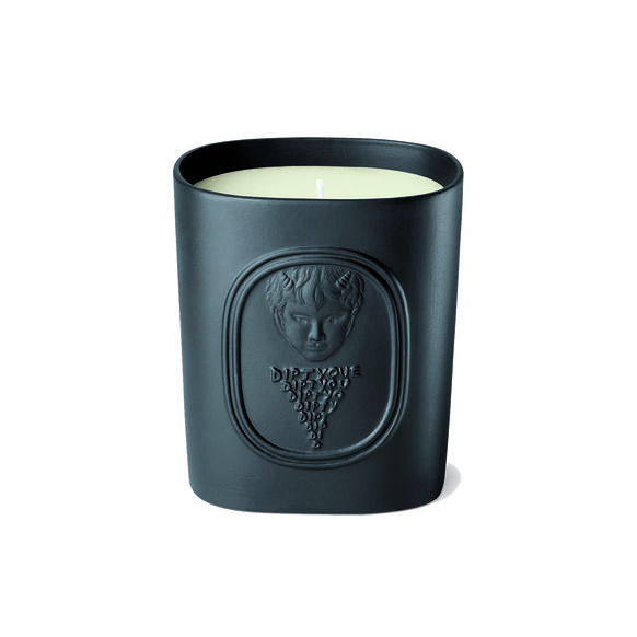 Diptyque Scented Candle L'Elide | Space NK